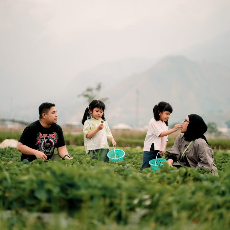 One Day Trip Sembalun | Transport Mandalika